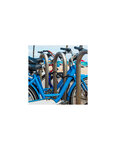 THIRARD - Câble Twisty acier 6mmx1.8m avec cadenas 40mm  vélo  abris de jardi 2 clés  noir