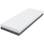 vidaXL Matelas Blanc et Gris 70 x 200 cm Mousse à Mémoire