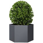 vidaXL Jardinière anthracite hexagone 69x60x45 cm acier