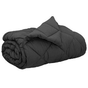 vidaXL Duvet d'été simple Anthracite 220 x 200 cm Microfibre