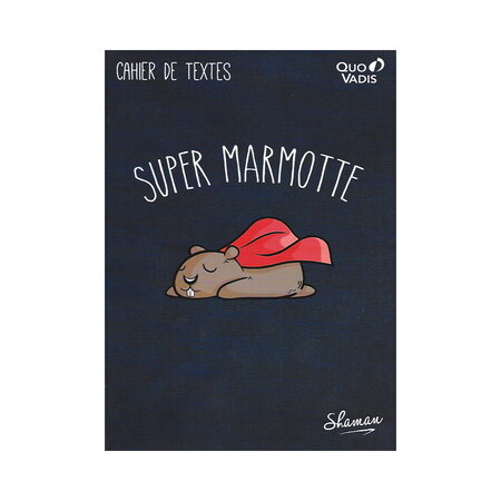 Cahier de textes - 17x22cm - shaman - super marmotte