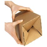 Caisse carton longue simple cannelure à montage instantané longueur 85x10 5x10 5 cm (lot de 20)