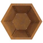vieXL Foyer Hexagonal 50x50x40 cm Acier résistant aux intempéries