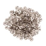 300 punaises argentées