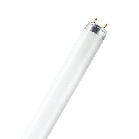 Tube fluorescent 26 mm lumilux t8 g13 58w 6500°k 1500 mm