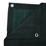 vidaXL Tapis de tente 250 x 400 cm PEHD Vert