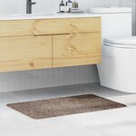 vidaXL Tapis de bain Marron 60 x 90 cm Polypropylène
