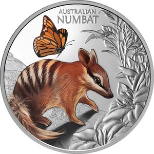 Pièce de monnaie en Argent 1 Dollar g 31.1 (1 oz) Millésime 2025 Cute and Cuddly BABY NUMBAT