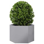 vidaXL Jardinière hexagone 69x60x45 cm acier galvanisé