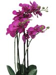 Orchidée phalaenopsis faux 3 hampes &pot h60cm top qualité fushia best - couleur: rose fushia