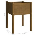 vidaXL Jardinières 2 Pièces Marron miel 50x50x70 cm Bois de pin massif