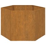 vidaXL Jardinière Rouillé 60x60x45 cm Acier corten