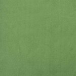 vidaXL Chaise de relaxation avec repose-pied Vert clair Velours