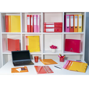 Classeur A4 2 anneaux 30mm Iderama jaune x 10 EXACOMPTA