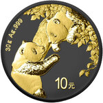 Pièce de monnaie en Argent 10 Yuan g 30 Millésime 2023 PANDA