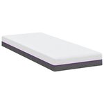 vidaXL Matelas Blanc et Gris 70 x 200 cm Mousse à Mémoire