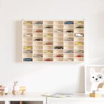 vidaXL Vitrine de collection en bois avec 60 compartiments 60 x 4 5 x 40 5 cm