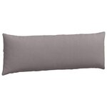 vidaXL Coussins de canapé 2 Pièces Taupe 120 x 40 cm tissu