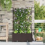 vidaXL Bac à fleurs avec Treillis 2 Pièces Marron 80 x 40 x 143 cm PP