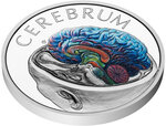 Monnaie BRAIN Human Body 1 Oz Argent 1$ Niue 2026 (PRÉCOMMANDE)