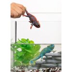 Schleich 14858 - Wild Life Caméléon