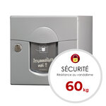 Boîte aux lettres Soléa  2 portes  Gris 7037 mat