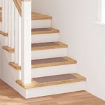 Tapis d'escalier vidaXL avec support en latex Marron clair 25x60 cm