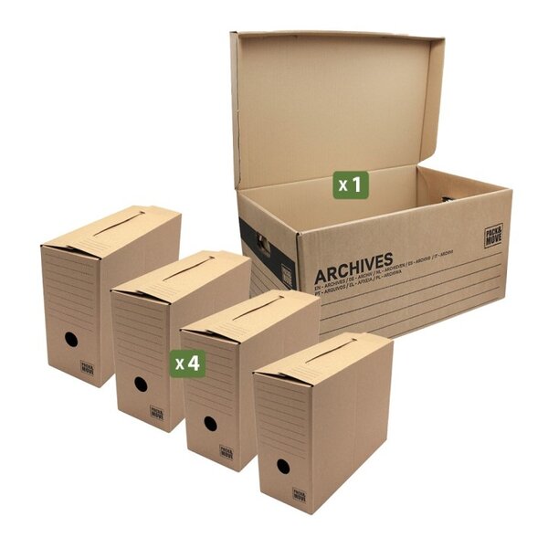 Pack and Move - Lot de 4 boites archives Taille M - 54 x 36 x 28 cm - Caisse de stockage incluse