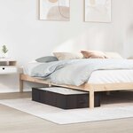 vidaXL Boîte de rangement avec fenêtre transparente Anthracite