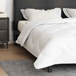 vidaXL Couettes & Duvets Blanc 200 x 220 cm Microfibre
