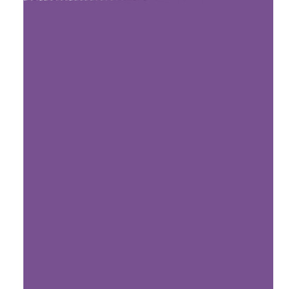 Rouleau papier kraft 3x0.70m violet CLAIREFONTAINE