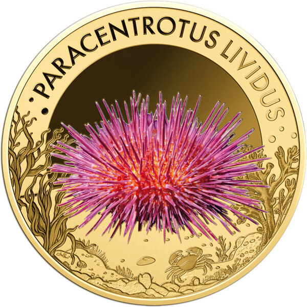Monnaie PURPLE SEA URCHIN Sea Creatures 1/1000 Oz Or 3000 Francs Chad