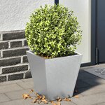 vidaXL Jardinières 2 Pièces 30x30x30 cm acier galvanisé