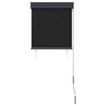 vidaXL Store roulant d'extérieur 60 x 250 cm Anthracite