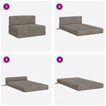 vidaXL Canapé-lit pliable Gris clair 70 x 80 x 60 cm Tissu