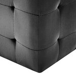 vidaXL 2 Pièces Poufs Noir 30 x 30 x 30 cm Tissu velours