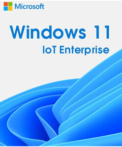 Microsoft Windows 11 IoT Entreprise - Clé licence à télécharger