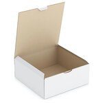 Boîte carton blanche d'expédition rajapost 25x25x10 cm (lot de 50)