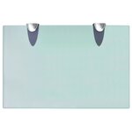 vidaXL Étagères murales 2 Pièces Verre 30x20 cm 8 mm