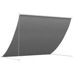 vidaXL Auvent Gris clair 300 x 150 cm