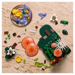 11505 Les champignons des bois ® Botanicals