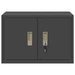 vidaXL Armoire de rangement Noir 60 x 40 x 40 cm Acier