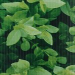 vidaXL Écrans d'intimité de jardin 4 Pièces PVC 35x0 19 m Vert
