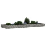 vidaXL Lit surélevé à gabion Acier galvanisé 300x100x20 cm