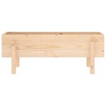 vidaXL Lit surélevé de jardin 101x30x38 cm bois de pin massif