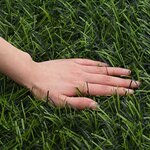 vidaXL Clôture Artificielle Vert clair 1 x 3 m PVC et Acier