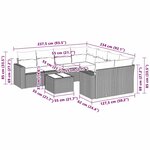 vidaXL Salon de jardin avec coussins 3 Pièces gris clair résine tressée