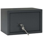 vidaXL Coffre-fort Gris foncé RAL7016 20 x 31 x 20 cm Acier