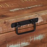 vidaXL Coffres de rangement 60x30x30cm en bois massif de récupération et métal