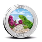 Pièce de monnaie 5 Florin Aruba Yuwana (iguane) 2021 – Argent BE